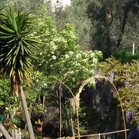 La Garbatella شقة *